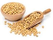 Soybean Seeds