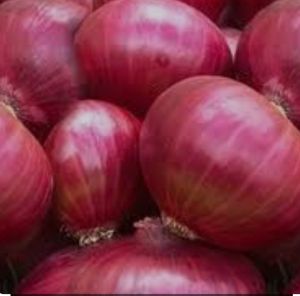 Red Onion