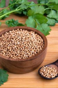 Coriander Seeds