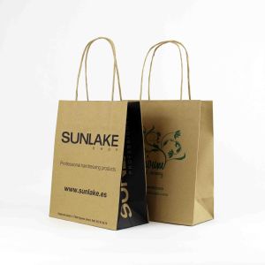 twisted handle paper bags