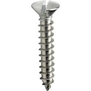 slotted head screw