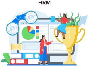 hrm software solution