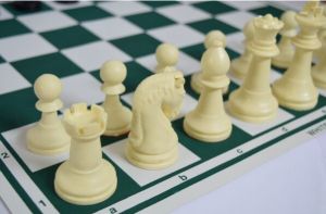 Premium Chess Sets