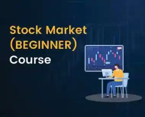 Stock Market Training