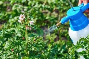 Liquid Organic Pest Repellent