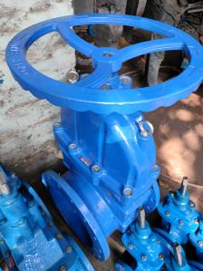 Resilient Seated Gate Valve