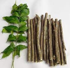 green neem stick