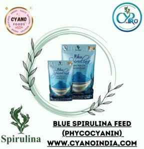 cypro blue organic spirulina powder