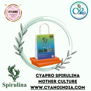 spirulina mother culture