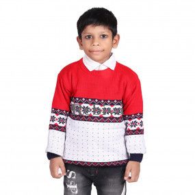 Boys Stylish Sweater