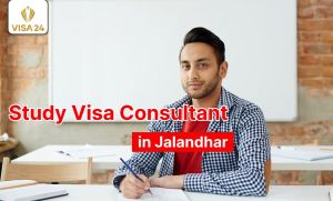 study visa consultancy services