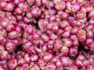 sambar onions