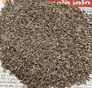 brown singapore cumin