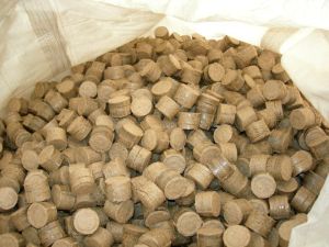 biocoal briquettes