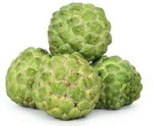 Custard Apple