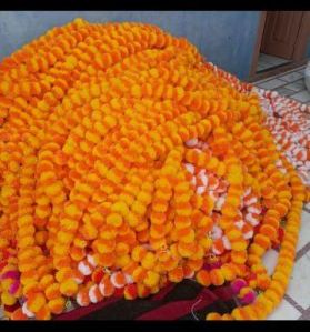 Marigold Flowers