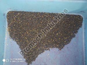 Mustard / Raida Color Sorting Machine T20 - 6 chute