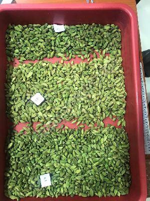 Cardamom Color Sorter T20 -1 Chute