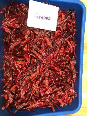 Dry Red Chillie Color Sorter T20 - Belt Sorting Machine