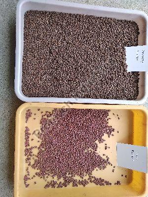 Cotton seeds color sorting machine T20 - 7 chute