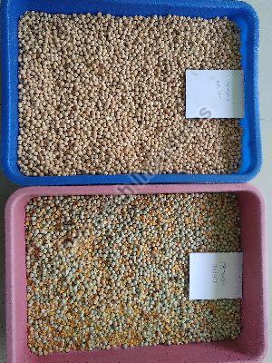 Matar ( green peas) Color sorting machine T20 - 5 Chute