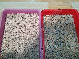 Chik peas sorting machine T20 - 5 Chute