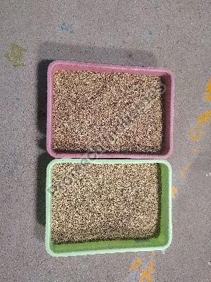 Fennal Seeds / Saunf color sorting mahine T20 - 8 Chute