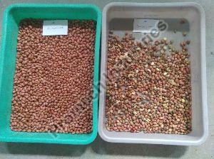 Peanuts Color Sorting Machine T20 - 3 Chute