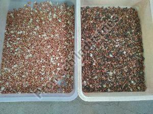 Peanuts Color Sorting Machine T20 - 3 Chute
