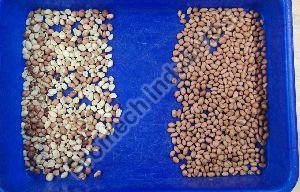 Peanuts Color Sorting Machine T20 - 3 Chute