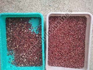 Rajamah ( kidney beans) Color Sorting Machine T20 - 3 Chute