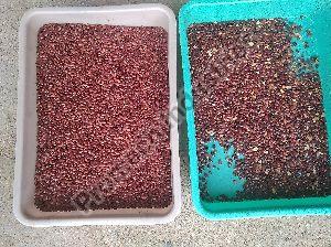 Rajamah ( kidney beans) Color Sorting Machine T20 - 3 Chute