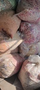 Gelatin Capsule Scrap