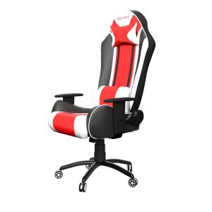 RGC Gaming Chair