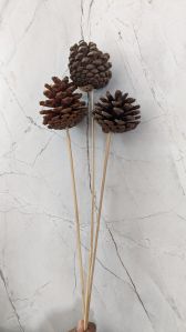Brown Natural Pine Cones