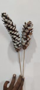 Brown Natural Pine Cones