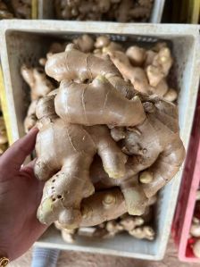 Fresh Ginger