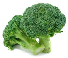 Fresh Broccoli