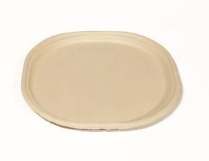 bagasse plate