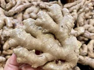 Fresh Ginger