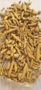 Assam Yellow Turmeric Finger