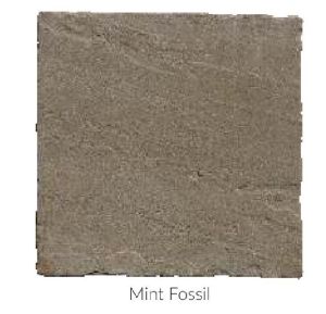 Mint Fossil Tumble Sandstone and Limestone Paving Stone