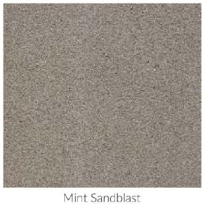 Mint Sandblast Contemporary Sandstone and Limestone Paving Stone