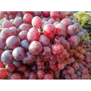 Fresh Organic Red Grapes
