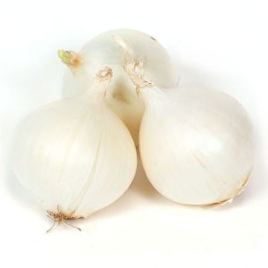 White Organic Fresh Onion