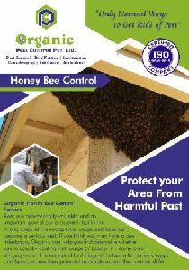 Honey Bees Services
