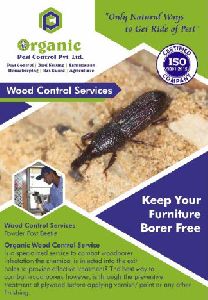 Wood Borer Control Services