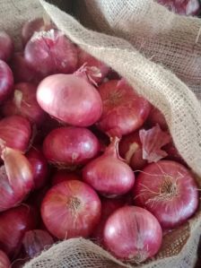 Fresh Red Onion