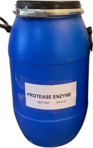 Protease Enzyme