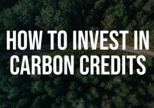 Carbon Credit Advisory Services
